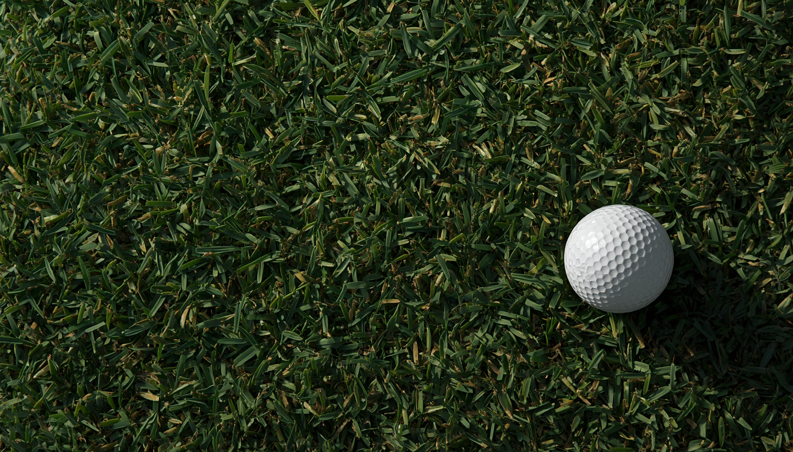 Eco Turf Agronomy